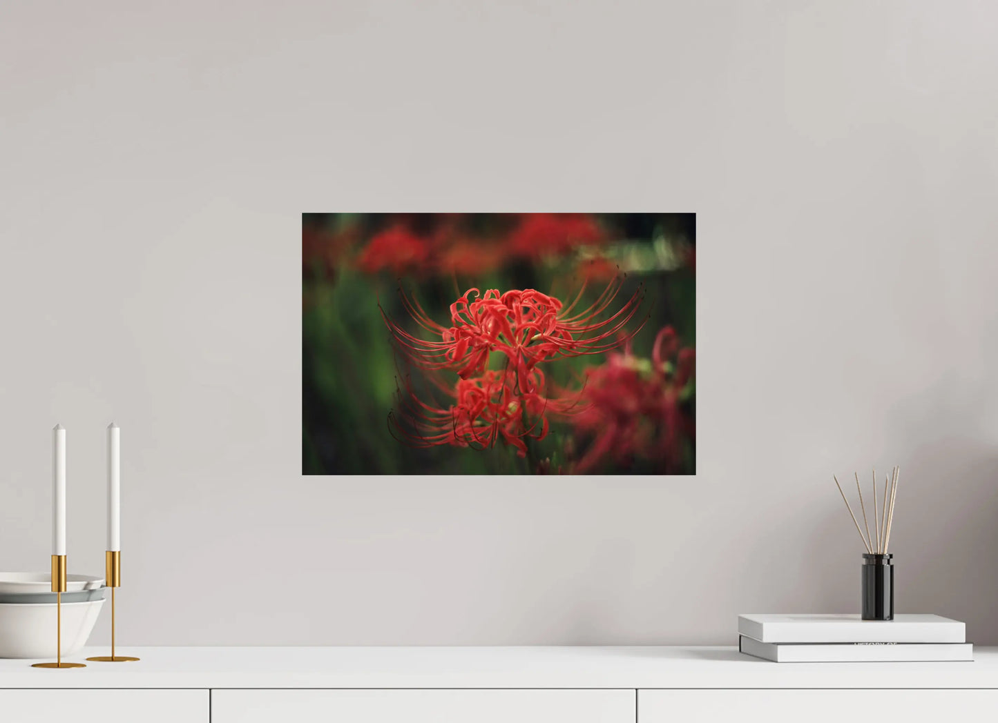 45 x 30 cm, Tirage Photo Photo du Japon: Lycoris rouge - Fleur de l'équinoxe higanbana