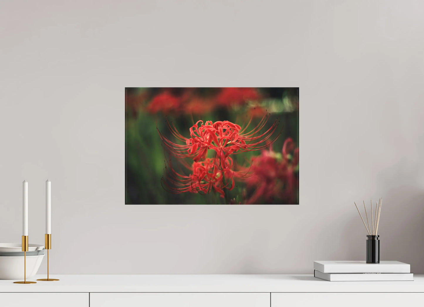 45 x 30 cm, toile Photo du Japon: Lycoris rouge - Fleur de l'équinoxe higanbana
