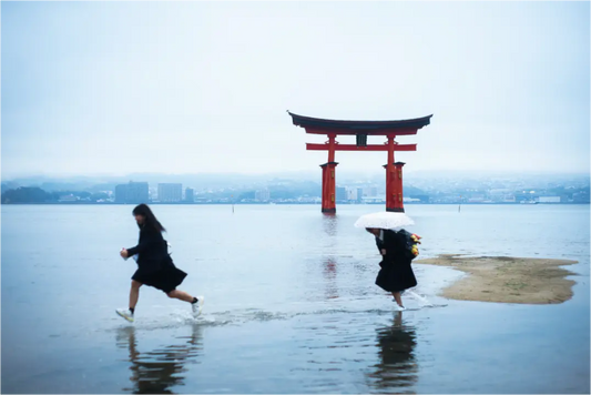 Main image photographie du japon :Le Torii d'Itsukushima à Miyajima
