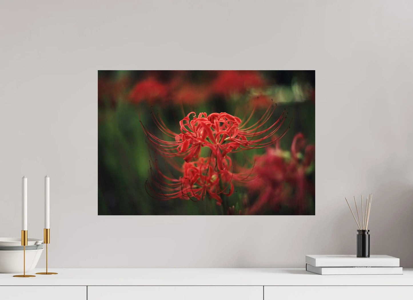 60 x 40 cm, Tirage Photo Photo du Japon: Lycoris rouge - Fleur de l'équinoxe higanbana