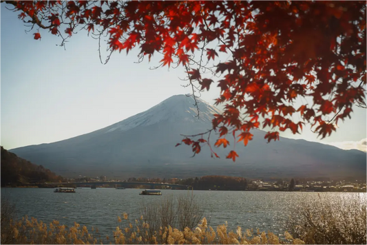 Main image Photo du Japon: Mont Fuji et momiji