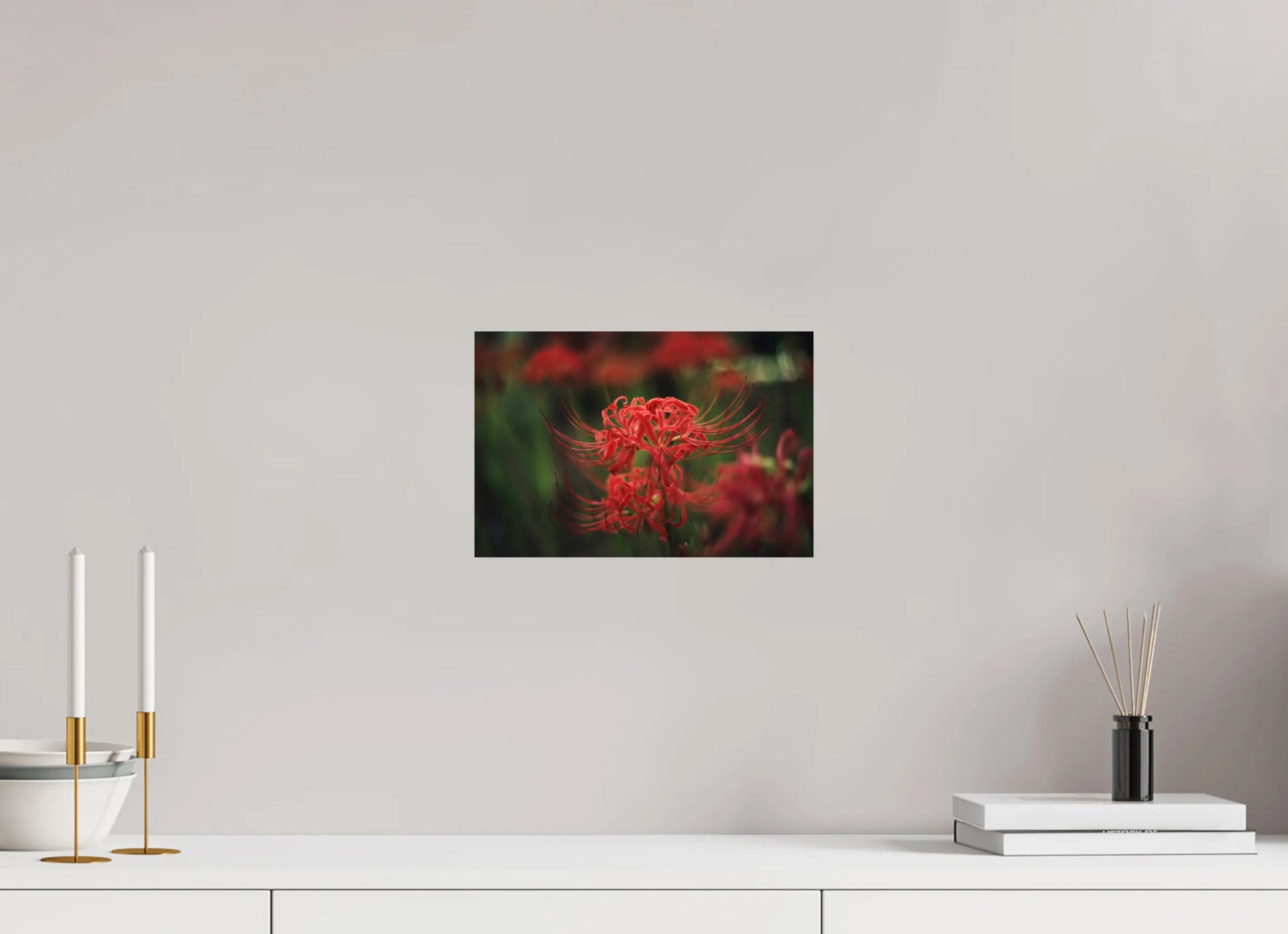 30 x 20 cm, Tirage Photo Photo du Japon: Lycoris rouge - Fleur de l'équinoxe higanbana